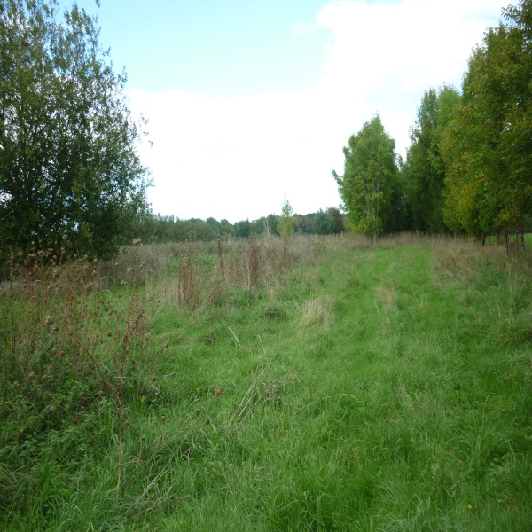 Offres de vente Terrain Azé 41100