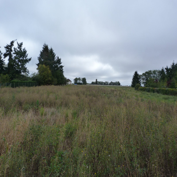 Offres de vente Terrain Selommes 41100